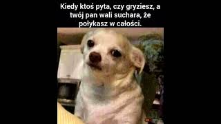 Następne top 10 memów na JBZD