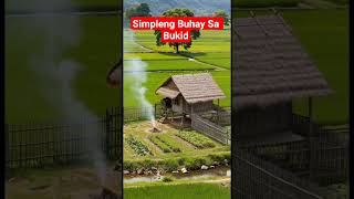 BAHAY KUBO SA BUKID #bahaykubo #kubo #provincelife #nipahut #nature BAHAY KUBO SA BUKID #bahaykubo #kubo #provincelife #nipahut #nature