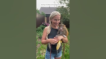 Saving a monkey can change its entire life.