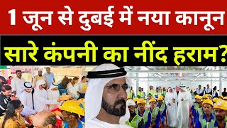 1 जून से दुबई में नया कानून सारे कंपनी का नींद हराम? | Dubai Breaking News Today | Uae News Today 