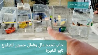 قم بهذه التكتيكات وستجعل الساكت يغني والذي لا يحب الاستحمام يستحم لتجهيز طيورك للانتاج