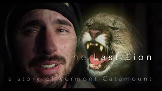 The Last Lion - A Story of Vermont Catamount