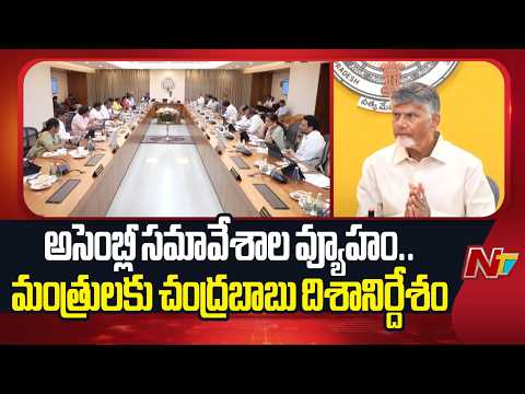 CM Chandrababu Teleconference with Ministers Over Strategy for Assembly sessions | NTV Telugu - NTVTELUGU
