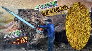 花150,000买个烂树瘤，锯开一看竟然是罕见的铜钱纹，大哥却偷偷抹眼泪 「老蒋根雕」