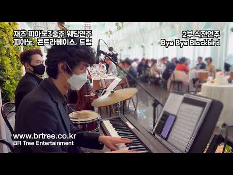 2부 식전연주 - Bye Bye Blackbird | 재즈 피아노3중주 비알트리 웨딩 연주