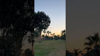 Finding Peace In The Den Hour. There Is Something About Th Light That Makes Everything Feel Still