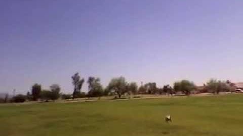 MONO-PHAN ™ 2 TVECTOR - THRUST VECTORING 70MM EDF VTOL DRONE / (DUCTED FAN)