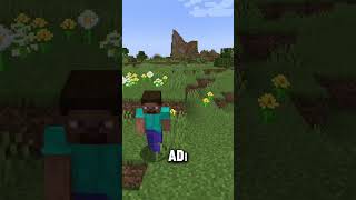 Minecraft'taki en büyük ZAMAN kaybı ?