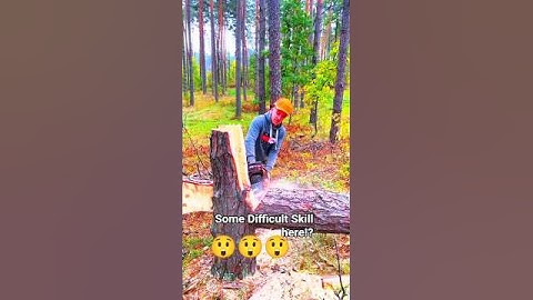 Some Difficult Skill here! #wood #woodworking #woodwork #woodcarving #wooden #fall #shortsfeed #how