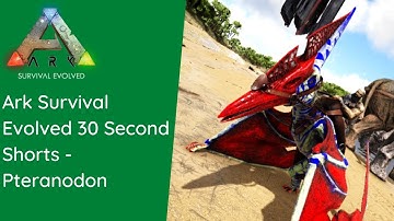 Ark Survival Evolved Shorts - Pteranodon - Everything You Need To Know