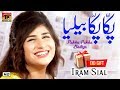 Pakka Pakka Bailiya | Shahzadi Iram Sial | Latest Song 2019 | Punjabi And Saraiki | TP Gold