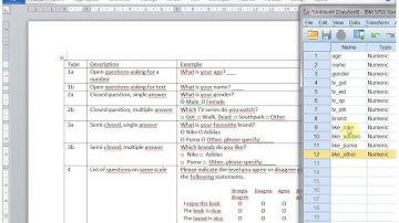 SPSS Data entry part 1