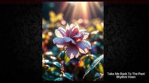 Take Me Back To The Past - Rhythm Vixen (Alt-Indie)