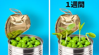 植物と庭のライフハック27 || 植物を種から育てる簡単な方法と裏庭のアップグレードのDIY
