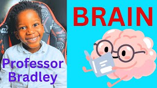 Meet Professor Bradley, the 5-year old neuroscientist teaching main brain's parts and functions