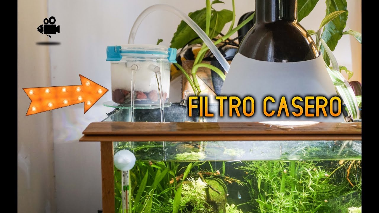 hacer un FILTRO PARA PECERA CASERO | aquarium filter - YouTube