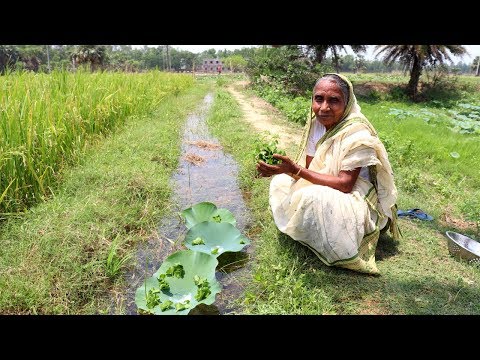 Thankuni Pata Bata Recipe | Grandmother Natural Food Recipes | Healthy Village Food