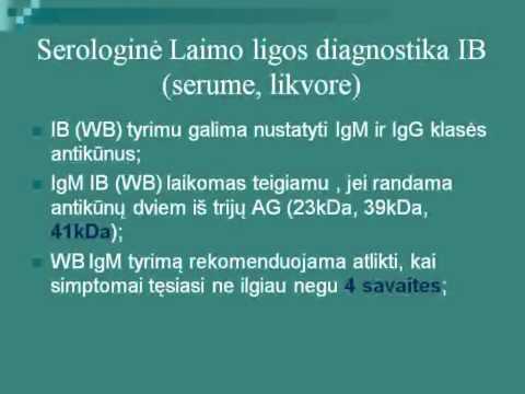 Laimo ligos ir erkinio encefalito diagnostika 1 dalis