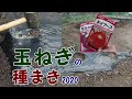 【家庭菜園】玉ねぎの種まき2020