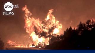 Hundreds of thousands flee as wildfires close in on French city
