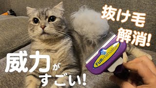 換毛期のファーミネーターの威力が凄い！猫の抜け毛の悩み解消におすすめ♪ブラッシングにはファーミネーター必需品になりました♪でもやりすぎには注意！！