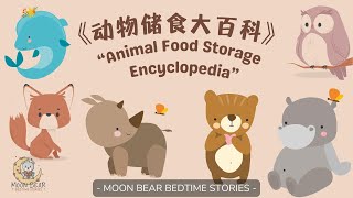 《动物储食大百科》睡前故事 | 儿童心灵启迪 | 温馨晚安 | 双语绘本 |学习新词汇 |  亲子教育 - MOON BEAR BEDTIME STORIES