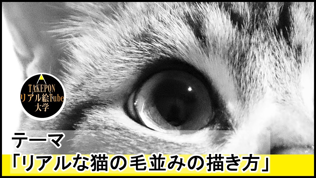 初心者でも簡単 5分でわかるリスの描き方 絵の描き方 ー中学校の美術で使える動物スケッチの書き方のコツ Youtube