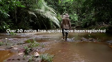 Signify enables carbon offsetting projects (1 minute)