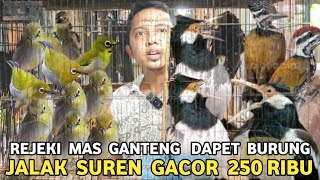 Download Lagu OBRAL !! JALAK SUREN GACOR 250 RIBU PLATUK BAWANG 50 RIBU PLECI 15 RIBU DI PASAR BURUNG PRAMUKA MP3 Download Lagu OBRAL !! JALAK SUREN GACOR 250 RIBU PLATUK BAWANG 50 RIBU PLECI 15 RIBU DI PASAR BURUNG PRAMUKA MP3