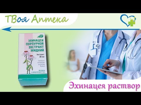 Эхинацея - показания (видео инструкция) описание, отзывы