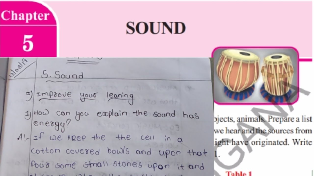 8th Class, Physical Science, 5.SOUND, full question and answers. YouTube