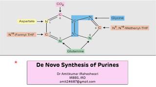 Purine Biosynthesis (De Novo) || Biochemistry || Molecular Biology