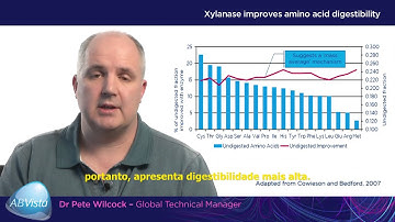Video 3 - Português -  Achieving consistent gains through xylanase application in swine PT