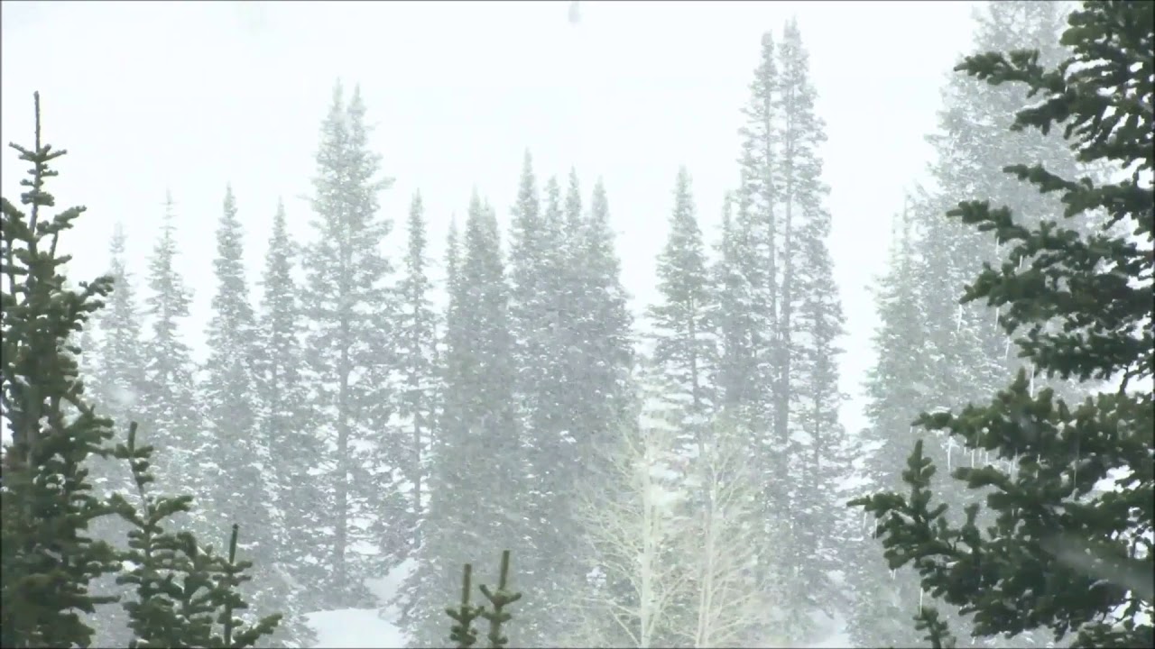 Schneesturm - Entspannung - Natur