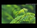 Alan Walker - Sing Me To Sleep (Hudson Leite & Thaellysson Pablo Reggae Remix) *2k16*