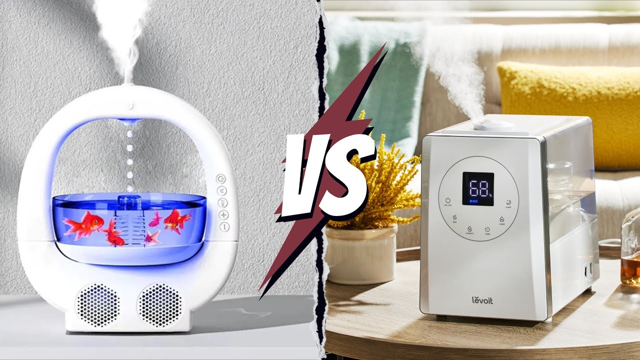 Cool Mist Vs Warm Mist Humidifier: Which Is Best for Your Home? - YouTube