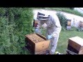 Pose d&#39;une deuxième hausse sur la ruche