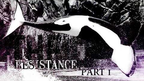 The Resistance - Orca Mep