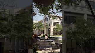 The Avenue Naples Florida | New Luxury Condos in Downtown Naples
