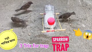 Sparrow trap.চড়ূই পাখির ফাদ। #ফাদ #চড়ুই #viral #কবুতর #কোয়েল #shorts #tiktok #reels