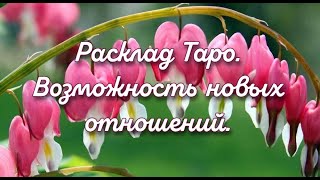 Расклад Таро. Возможность новых отношений.