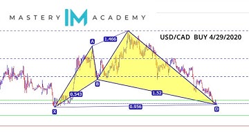 IM MASTERY ACADEMY HARMONIC SCANNER USD/CAD BUY 1HR CHART SHARK 4/29/2020