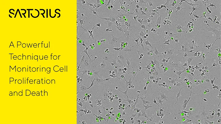 Incucyte® Video (preview): Introduction to Live-Cell Analysis for Cytotoxicity