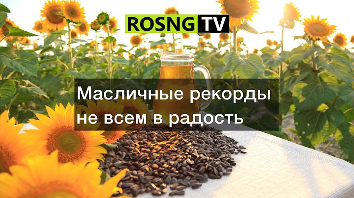 Масличные рекорды не всем в радость