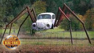 VW BEETLE WITH SPIDER LEGS?