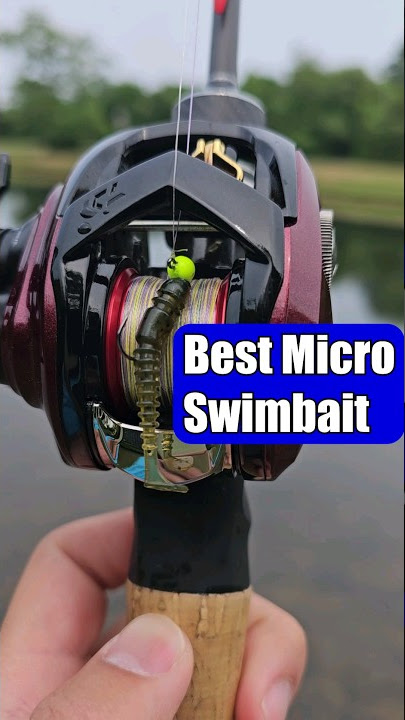 Catch More Fish With The Best Micro Swimbait Lure!