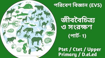 জীববৈচিত্র্য ও সংরক্ষণ | Biodiversity | Primary Tet Exam Preparation | Environment Studies | Wb TET
