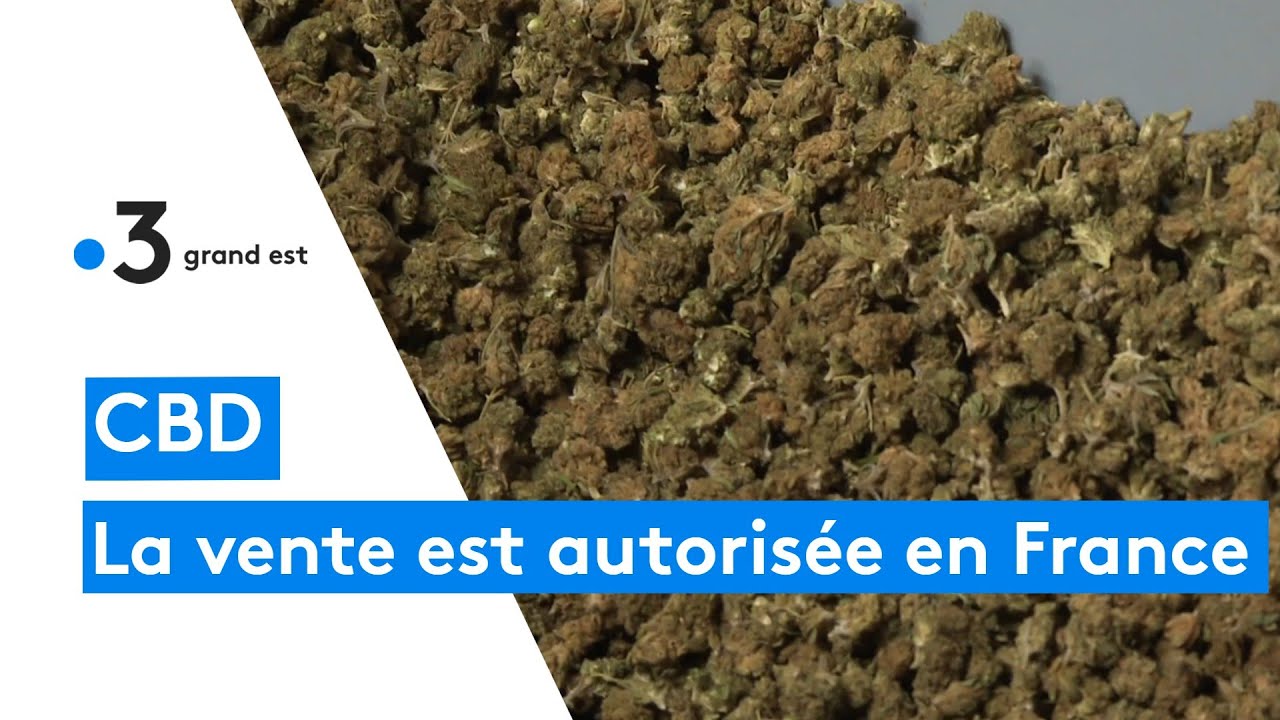 Video thumbnail: CBD flowers in France: the France 3 report