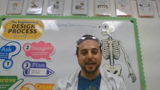 What is a Scientist? For Second Grade.