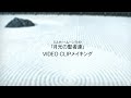 月光の聖者達(ミスター・ムーンライト)PV/桑田佳祐(2011年)